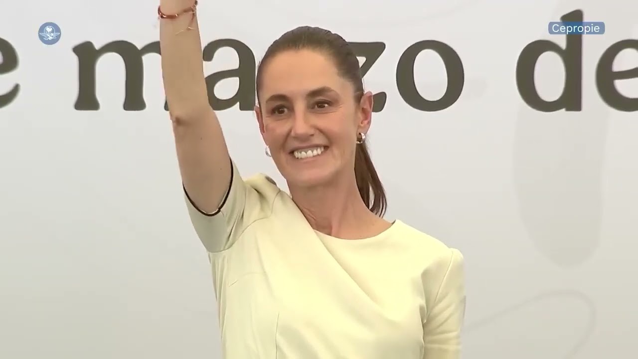 HONESTIDAD BRUTAL- ANALIZAMOS EL PLAN DE GOBIERNO DEL PARTIDO DEMOCRATA VERDE -ELECCIONES PERÚ 2026