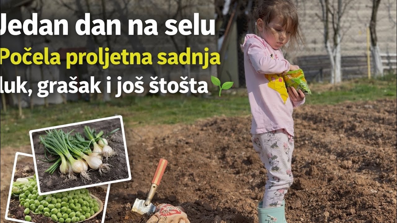 Jedan dan na selu | Počela proljetna sadnja – luk, grašak i još štošta 🌱