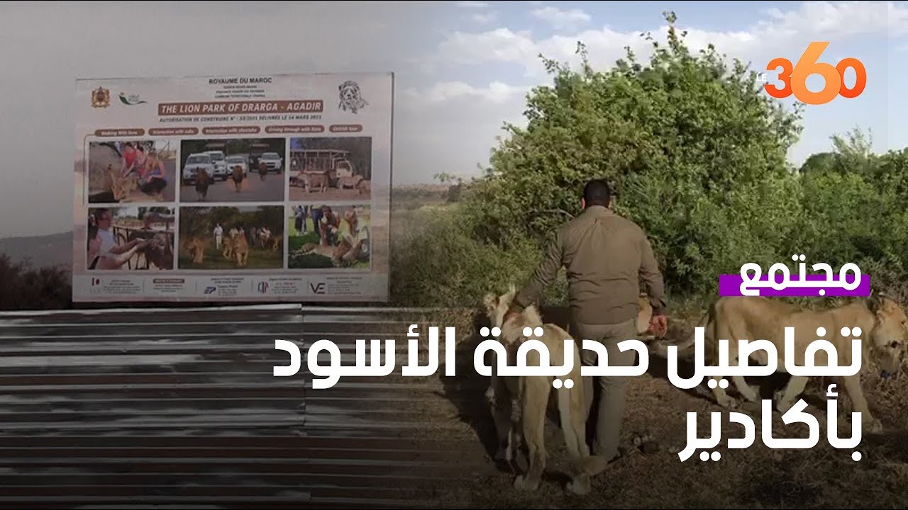 انطلاق أشغال إنجاز أول حديقة للأسُود بشمال إفريقيا بأكادير