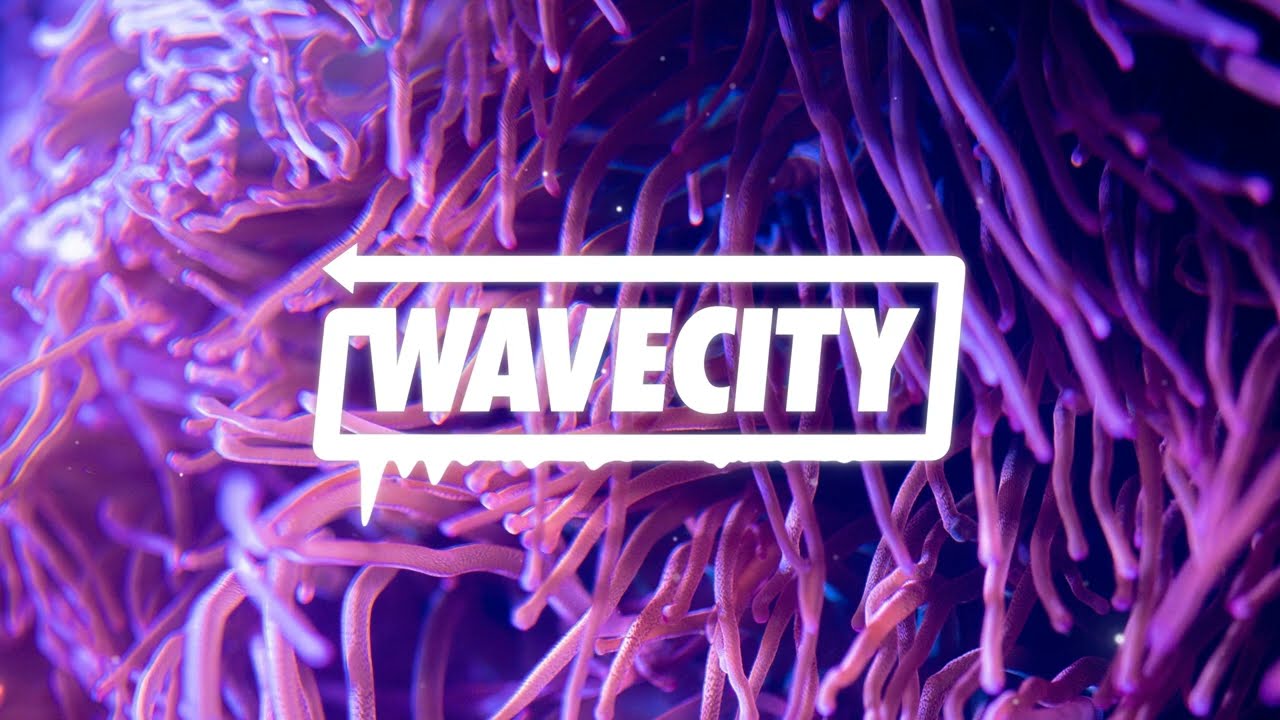 Snow Banks - Sink or Swim (barnacle boi Remix) [Wave]