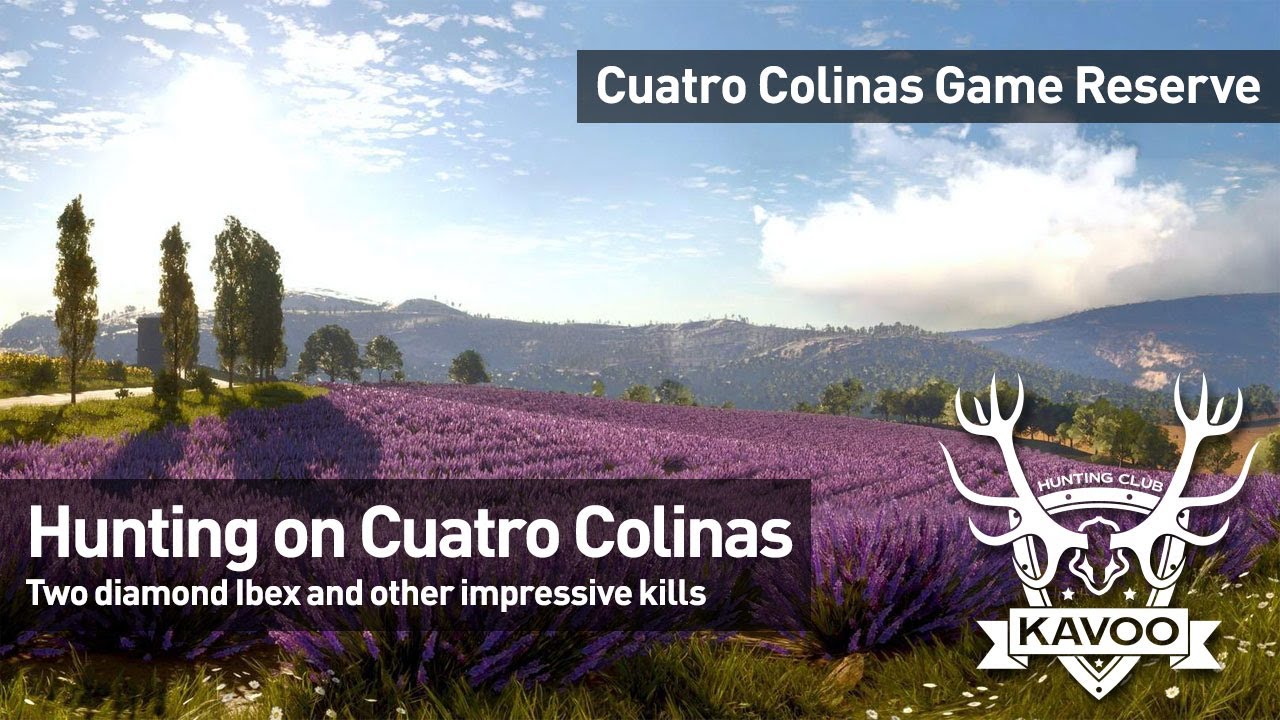 Hunting on Cuatro Colinas - two diamond Ibex shot and sent to the lodge