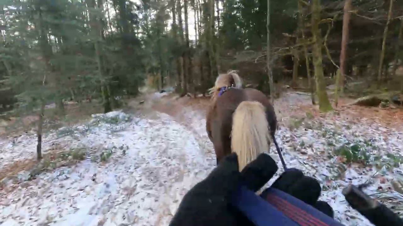 Running with ponys - Short video #182