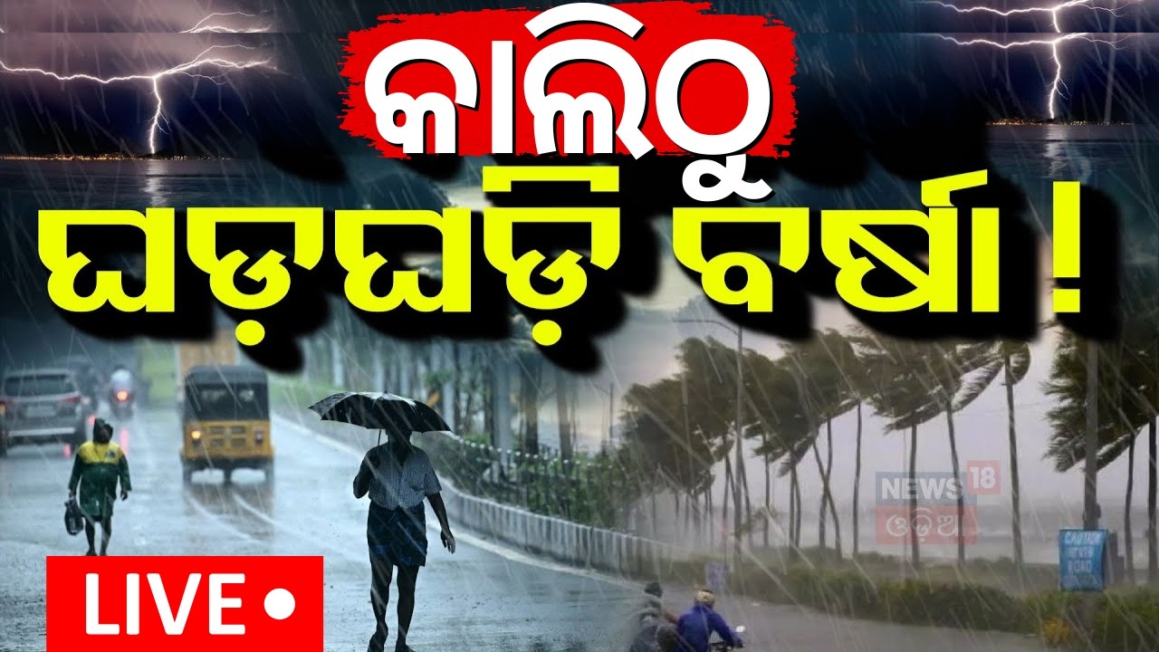 LIVE | କାଲିଠୁ ବଡ଼ ବର୍ଷା ଆଲର୍ଟ ! Odisha Rain News | Odisha Weather Update |Rain Fall Alert To Odisha