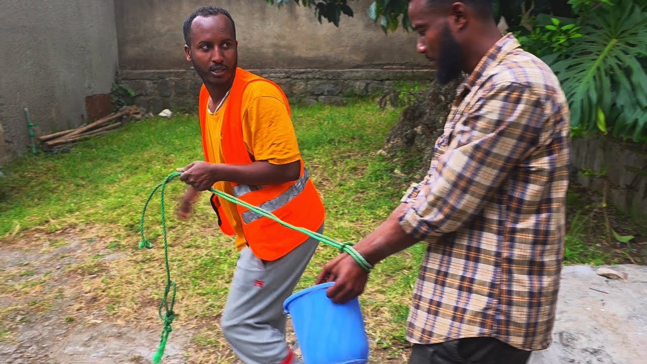 1hour ago 45k views ቶንኮሱ part 1 ተከታታይ የ ግቢው ዉስጥ ድራማ 