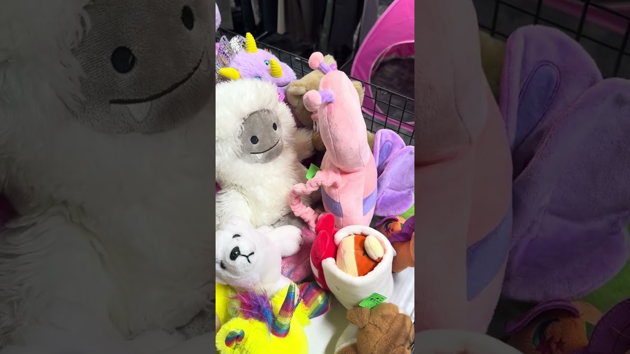 We Hit 3 Kansas Thrift Stores in One Day… and Found INSANE Reseller Inventory