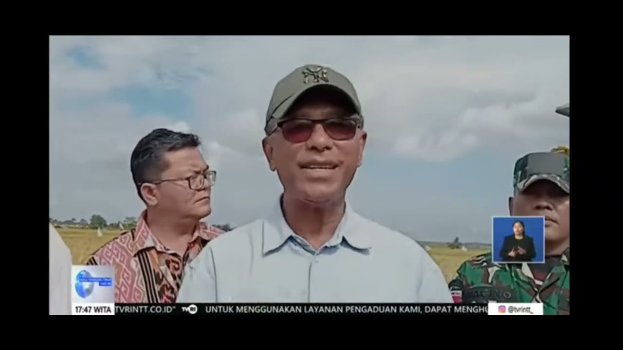 Bupati TTS dan Anggota Komisi IV DPR RI, Usman Husin Panen Padi Di Desa Bena - TTS