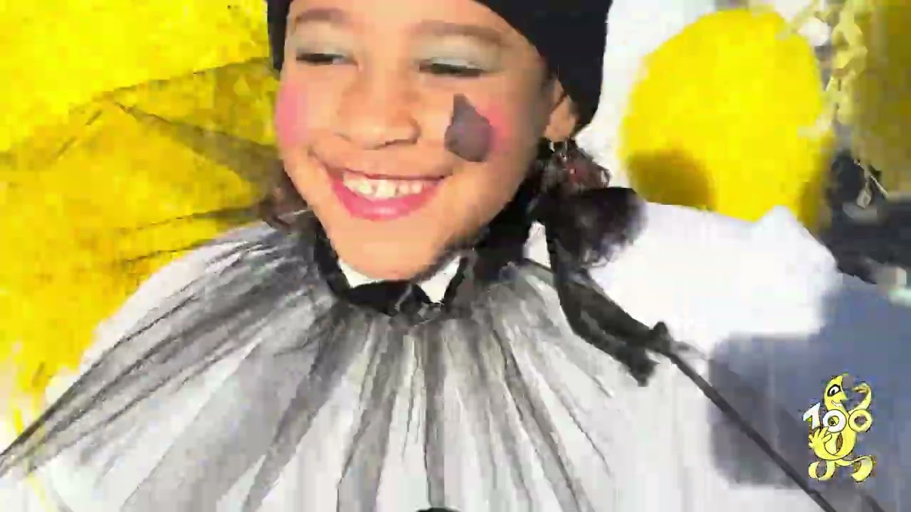 Carnevale Canturino 2026 - Gran Sfilata