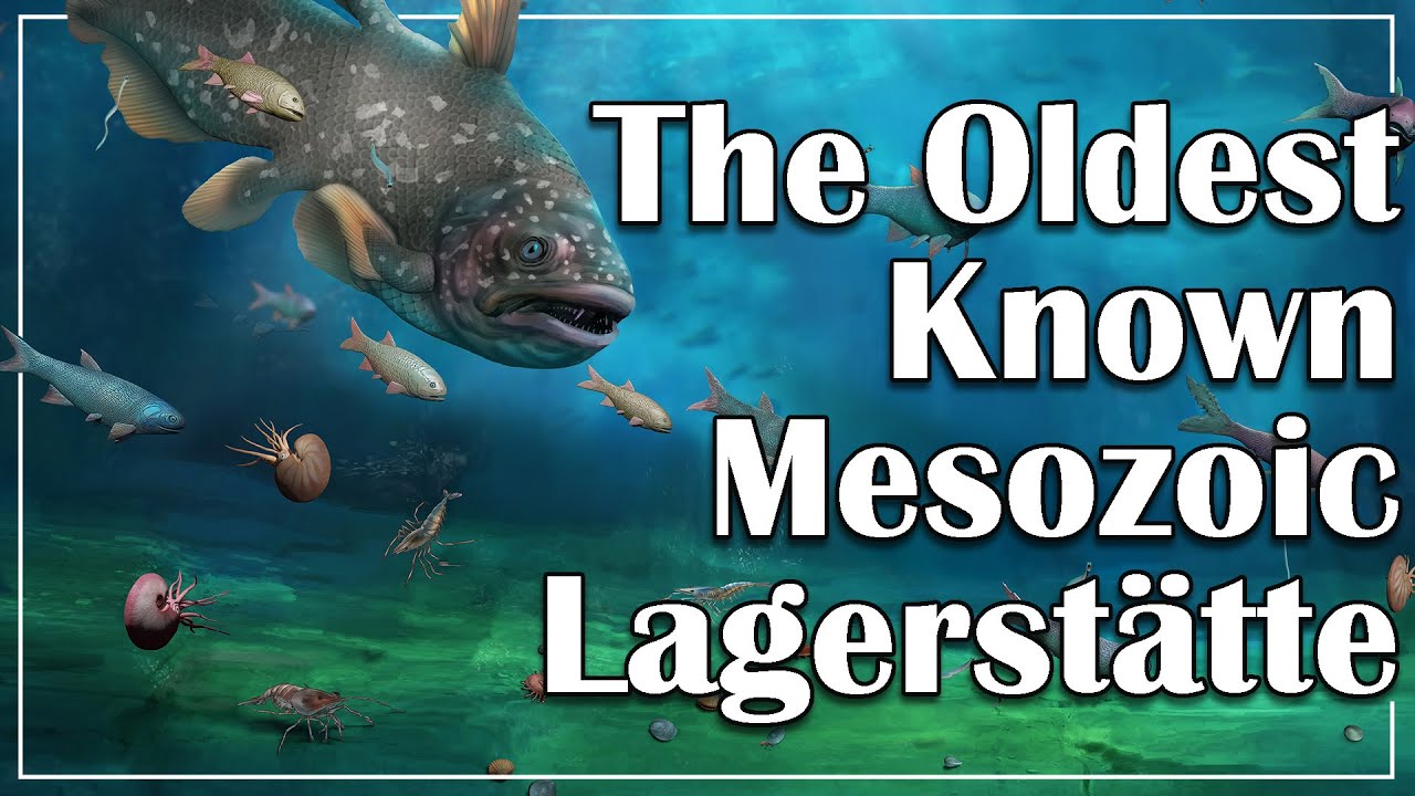 The Oldest Known Mesozoic Lagerst&auml;tte