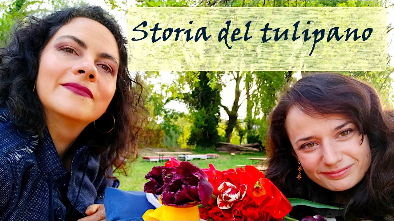Il tulipano che non ti aspetti