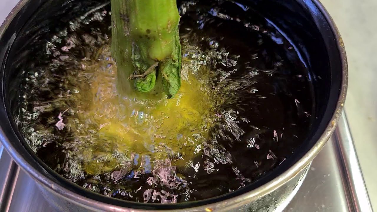 Jewish-Style Artichokes | Virtual Cooking Class