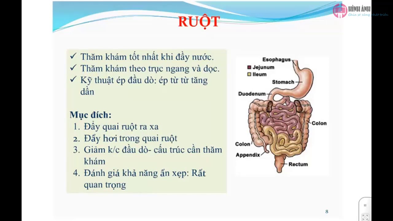 16. Siêu âm ống tiêu hoá - BS. Nguyễn Duy Trinh (SIÊU ÂM TỔNG QUÁT BỆNH VIỆN BẠCH MAI)