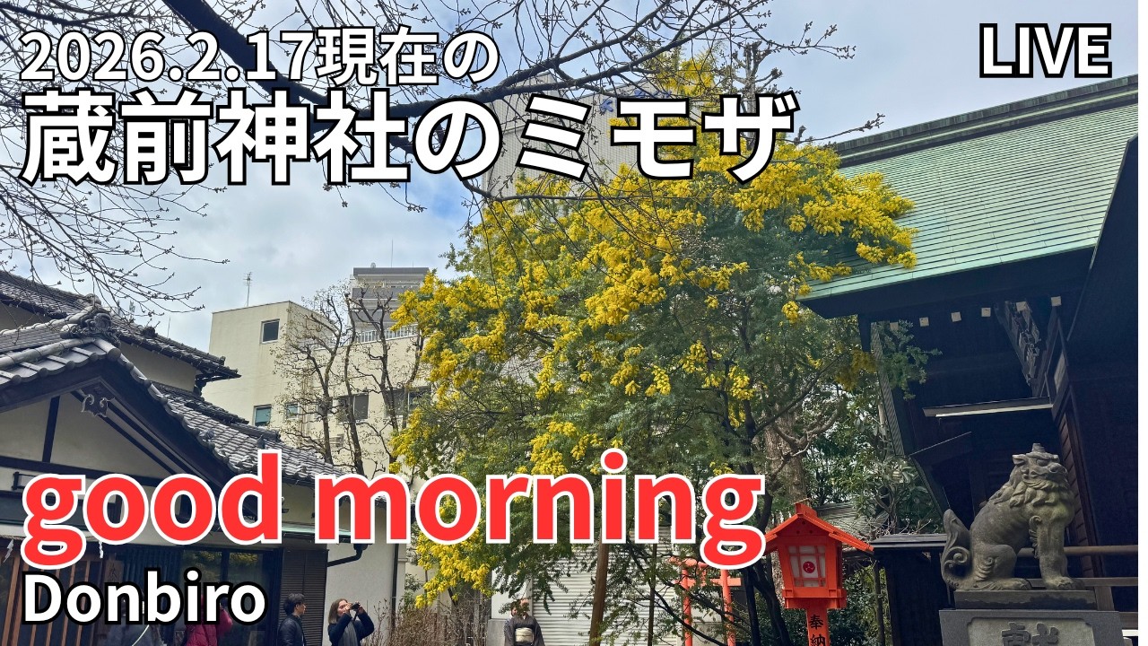 [出勤ライブ]スカイツリーから、浅草寺、蔵前神社まで歩く✨[Work Live] Walk from Skytree to Sensoji Temple and Kuramae Shrine✨