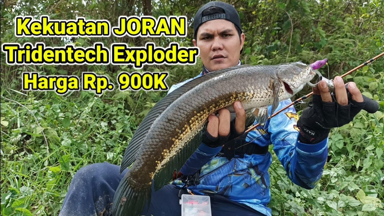 test JORAN TRIDENTECH EXPLODER PE 2 || JORAN TRIDENTECH EXPLODER