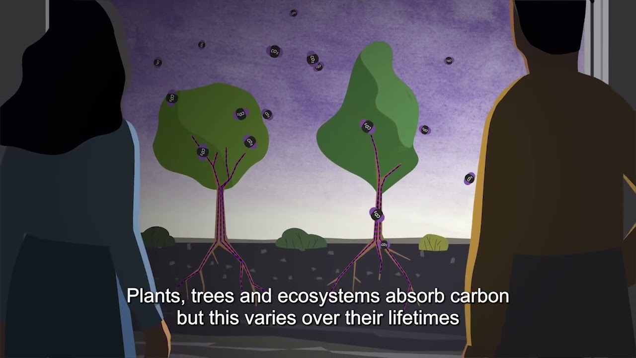 Sowing the seeds of sustainable carbon farming
