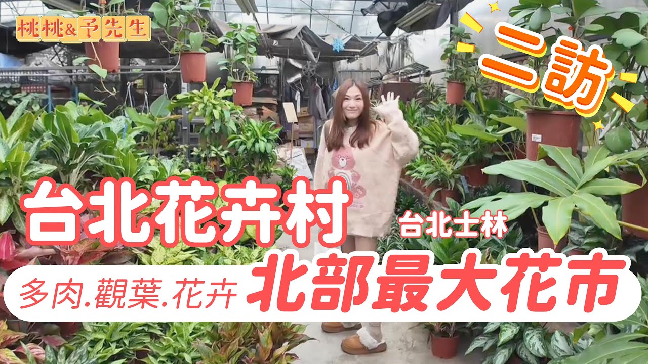 台北士林-台北花卉村-2訪-台北最大花市.觀葉價格超實惠.好逛好買好入手！