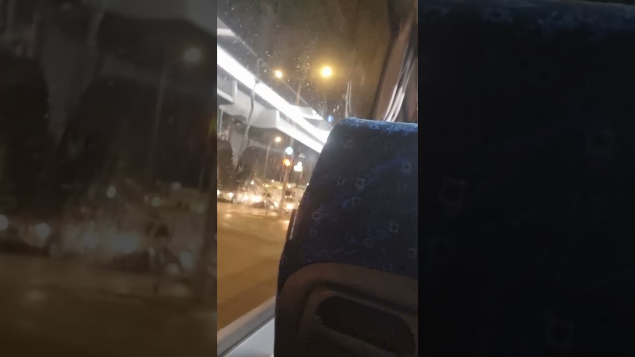עליה לקו 317 לפתח תקווה מסוף משה ארנס