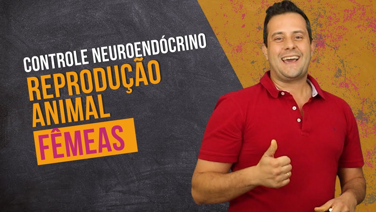 Controle neuroendócrino da reprodução nas fêmeas dos animais domésticos.