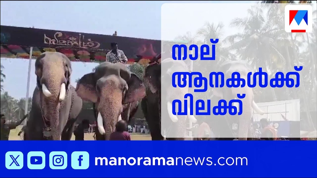 ആനകളുടെ തലപ്പൊക്ക മത്സരം: നാല് ആനകൾക്ക് വനംവകുപ്പിന്റെ വിലക്ക് | Thirssur