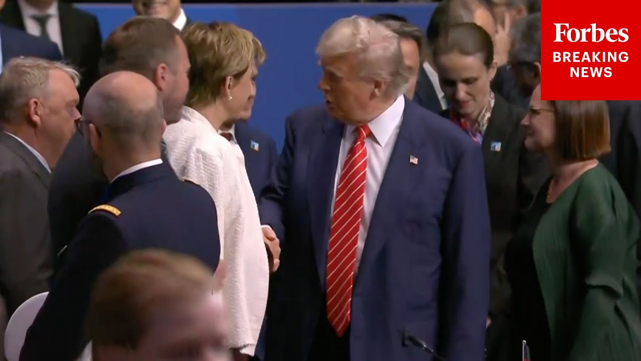 WATCH: Trump, World Leaders Attend NATO Summit And Welcome Ceremony