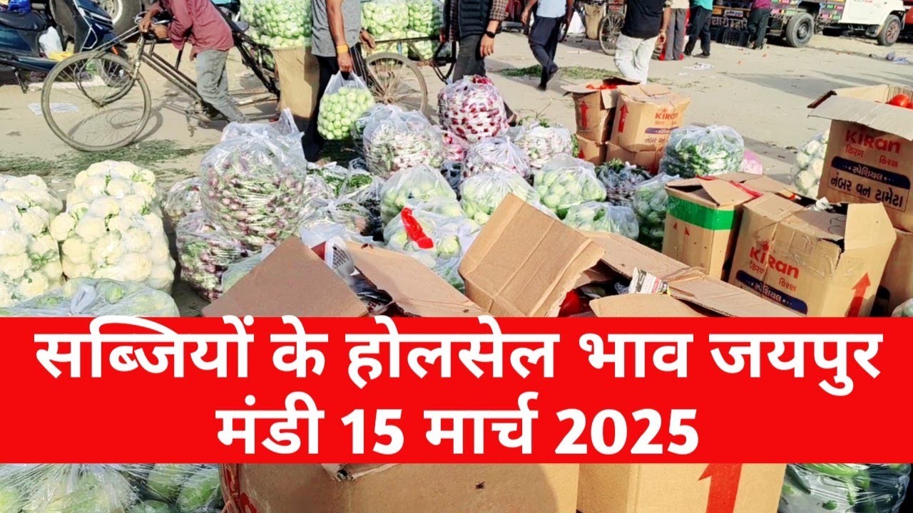 15 मार्च 2026 सब्जियों के होलसेल भाव जयपुर मंडी | आज सब्जियों का भाव | Jaipur Vegetable Market