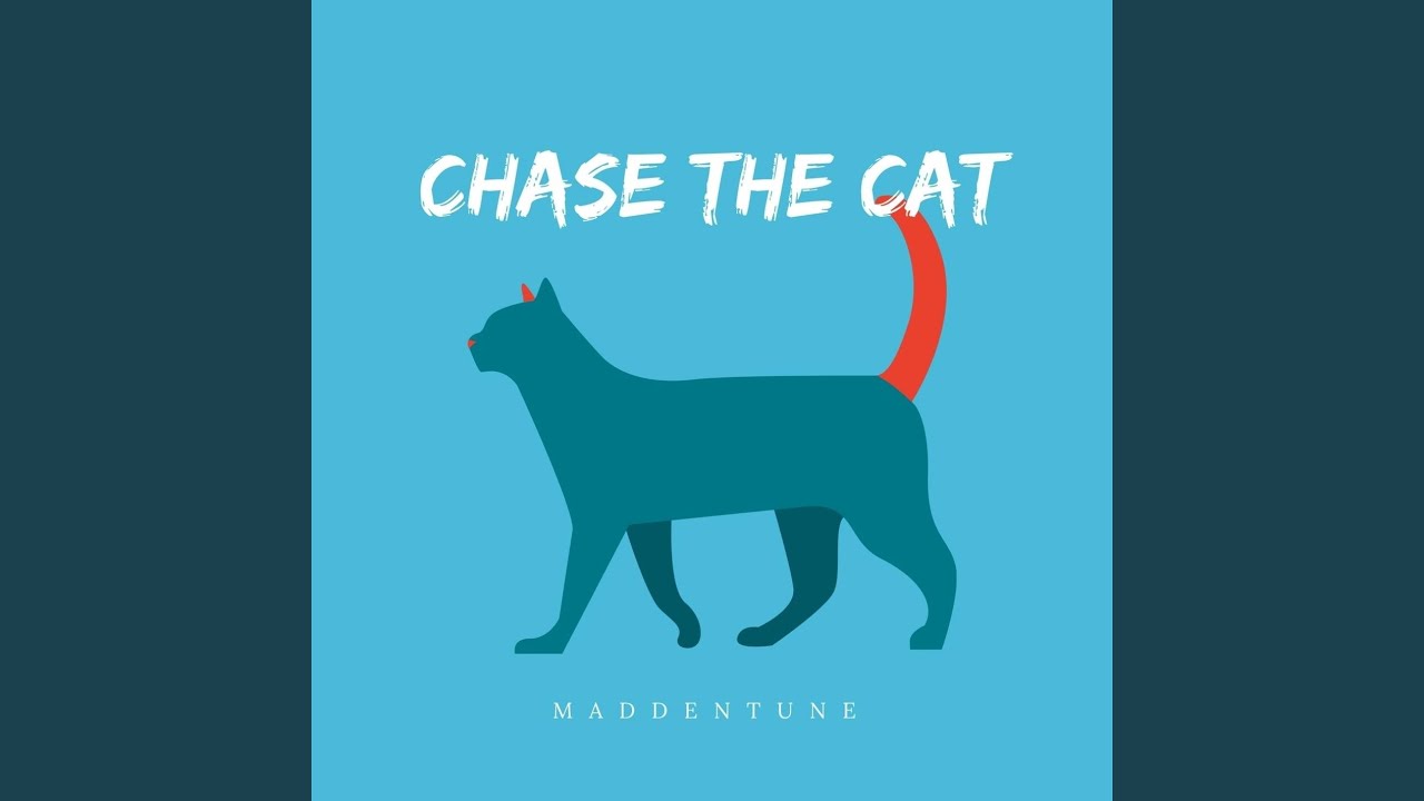 Chase the Cat
