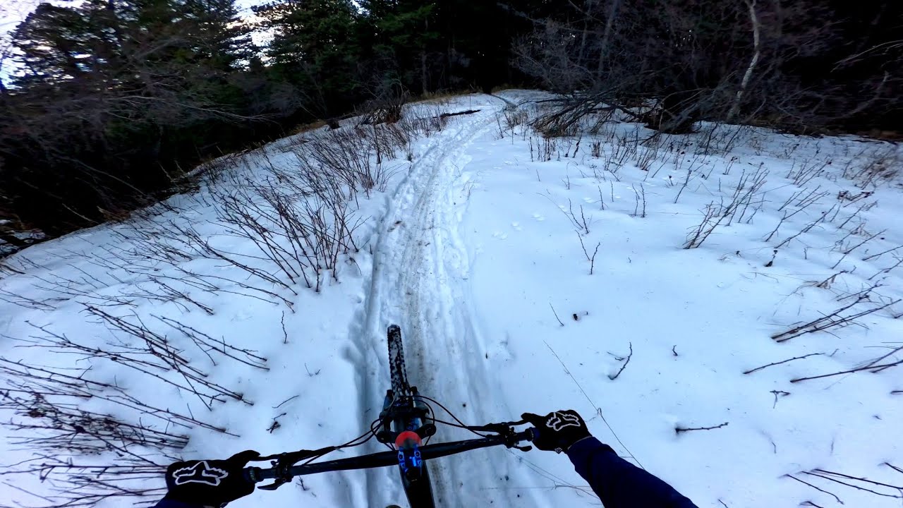Mountain Biking at APEX PARK (Golden, CO) | Conditions Report (3/10/26)