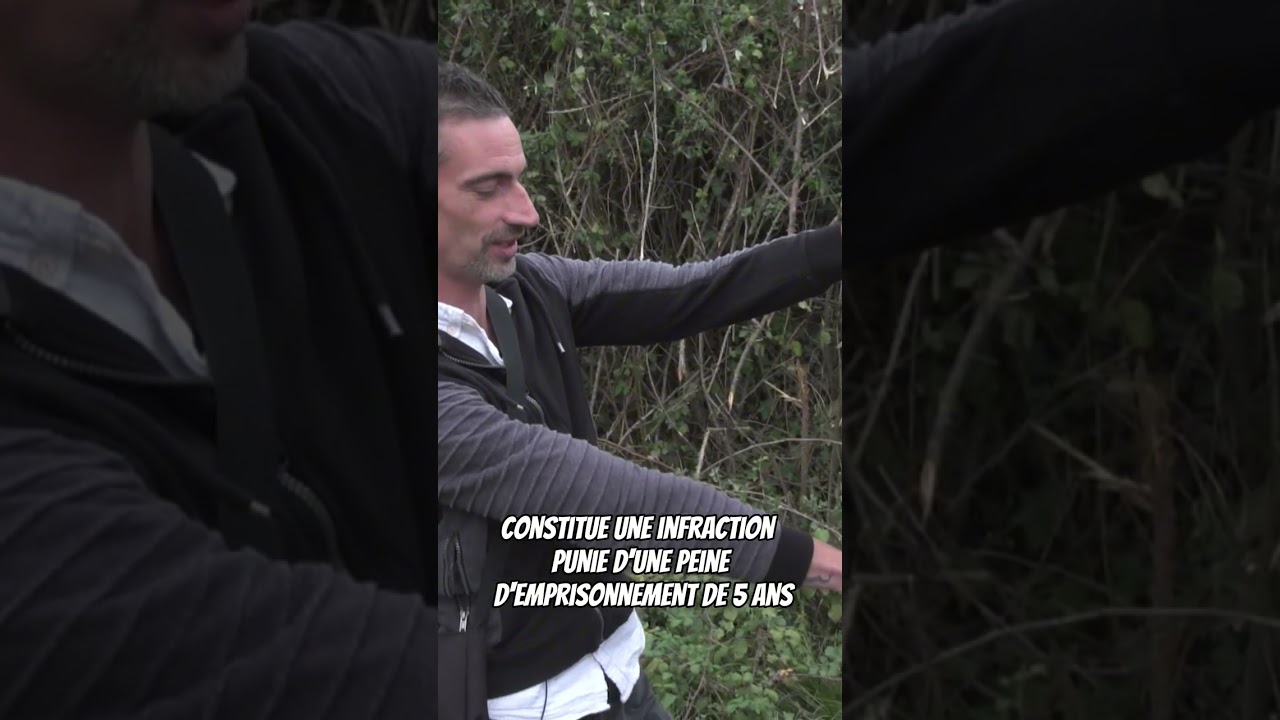 Radar br&ucirc;l&eacute; : peine de prison confirm&eacute;e 🚨