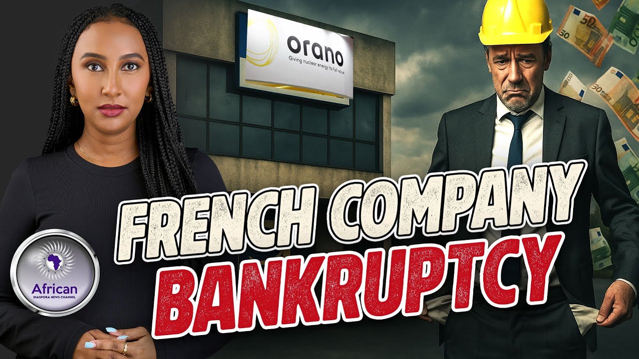 France's Uranium Company Goes Bankrupt After Niger Government Export Restrictions