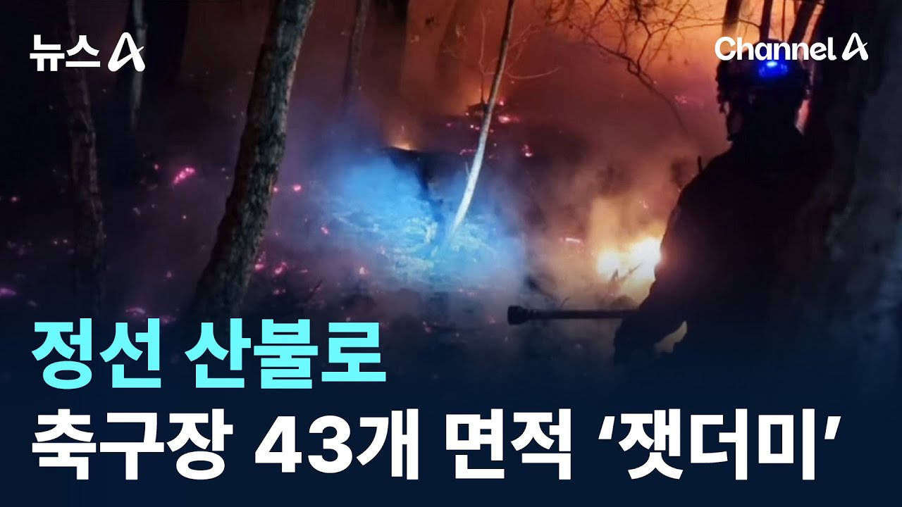 정선 산불로 축구장 43개 면적 ‘잿더미’ / 채널A / 뉴스A