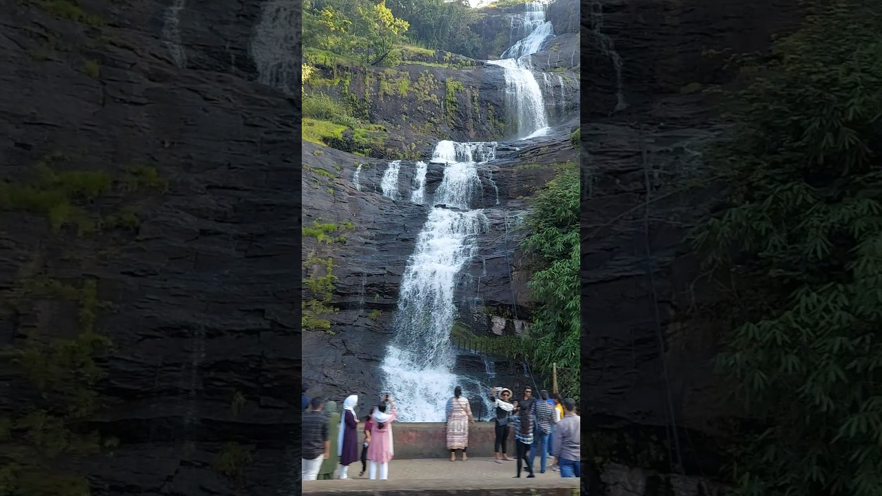 #cheeyappara #waterfalls #neriamangalam #idukki #kerala