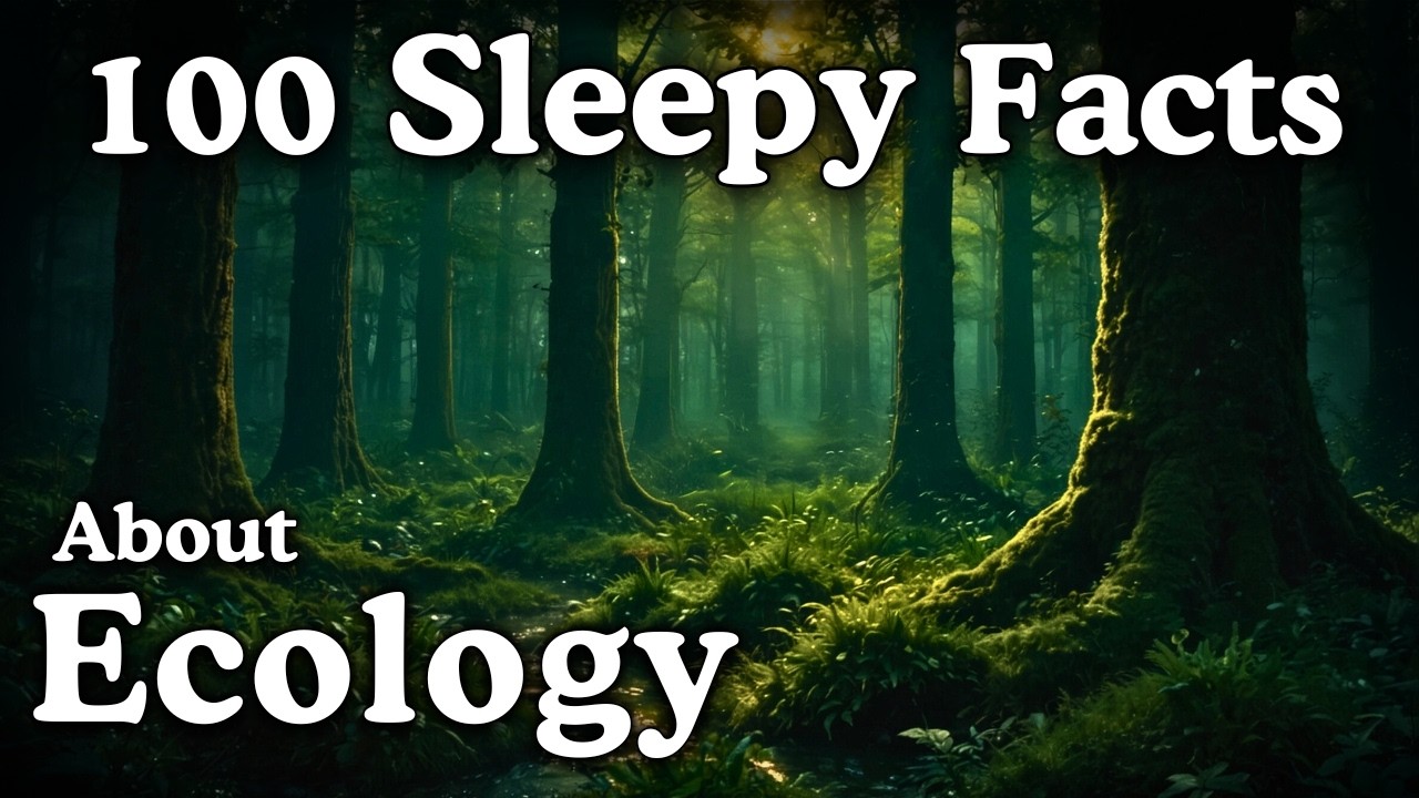 The Most Relaxing Facts About Ecology to Fall Asleep To