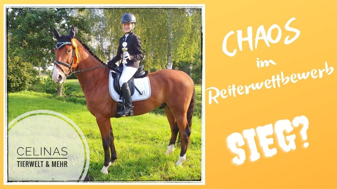Chaos im Reiterwettbewerb | Sieg? 🐴😅