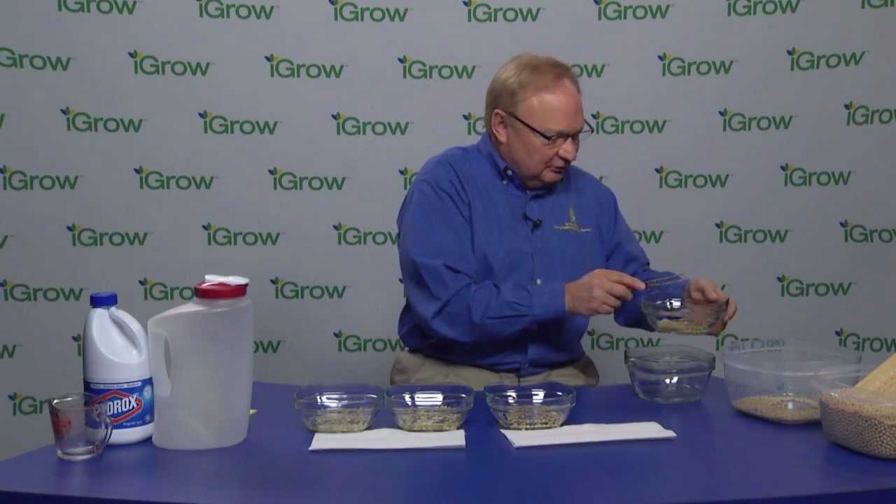 Testing Soybean Seed Quality with a Clorox Soak