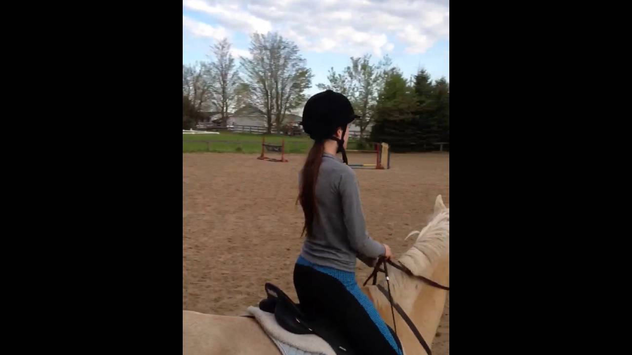 How to Trot on a Horse: Post