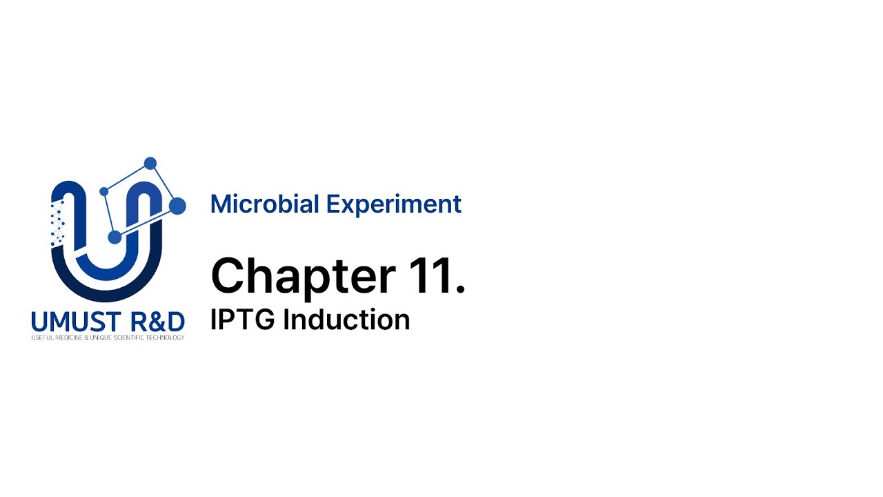 Microbiology Experiment   Chapter 11  IPTG Induction