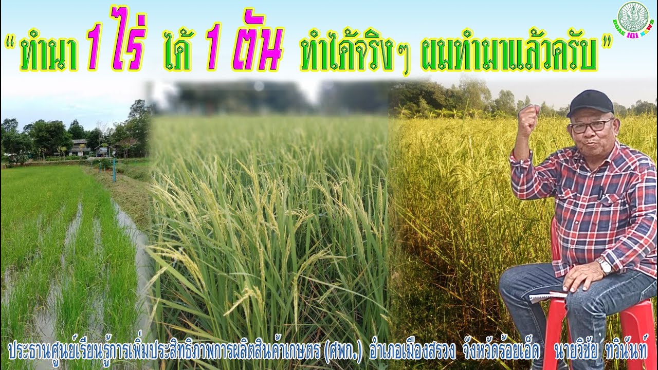 ทำนา 1 ไร่  ได้ 1 ตัน