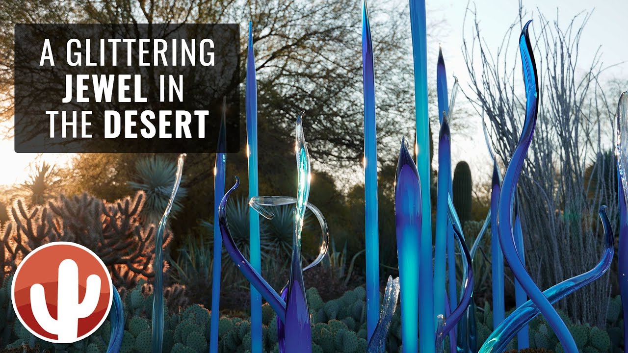 CHIHULY IN THE DESERT at NIGHT | Desert Botanical Gardens | Phoenix, Arizona