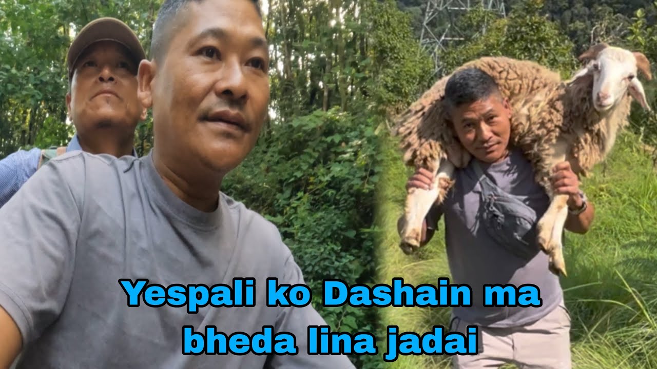 Yespali ko Dashain ma bheda lina jada bheda boknu paryo | Dai Gorkhali Vlog