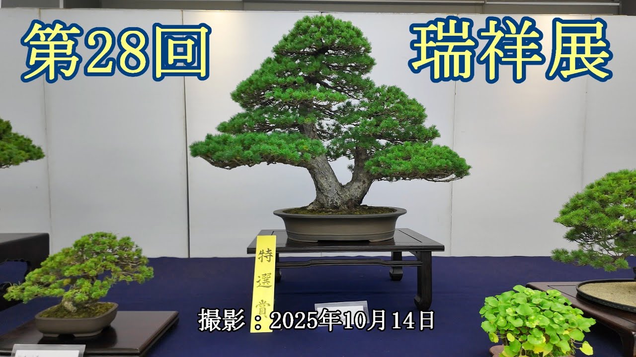 第28回瑞祥展 = 主催：日本瑞祥愛好会 = [4K] The 28th Zuisho Exhibition =