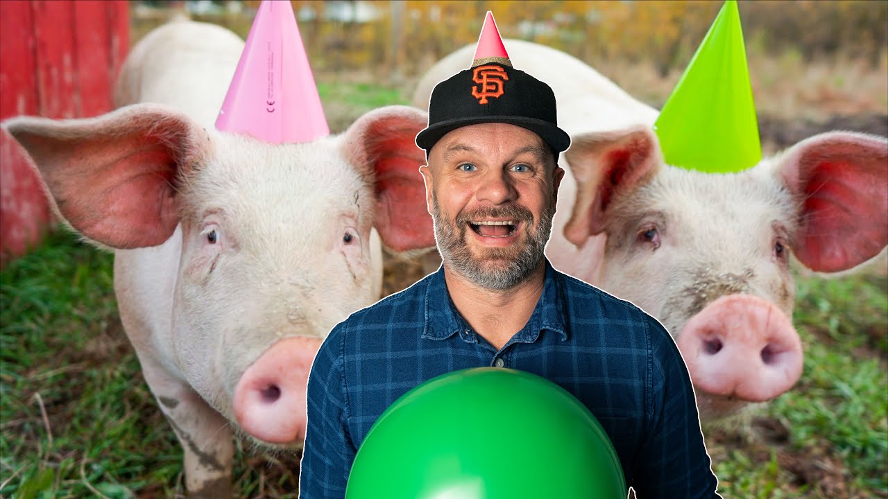 I had a Birthday Party with Pigs!