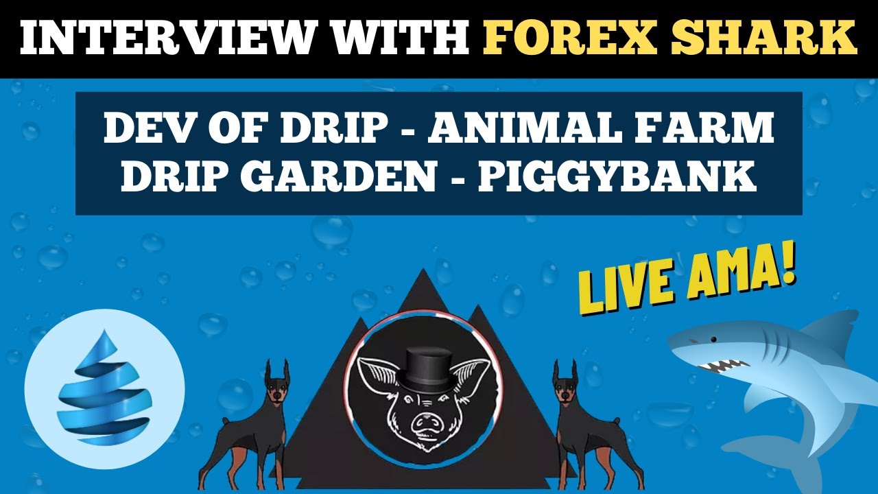 🎙Interview With Forex Shark, The Developer Of Drip Network & The Animal Farm - Past & Present 🎤