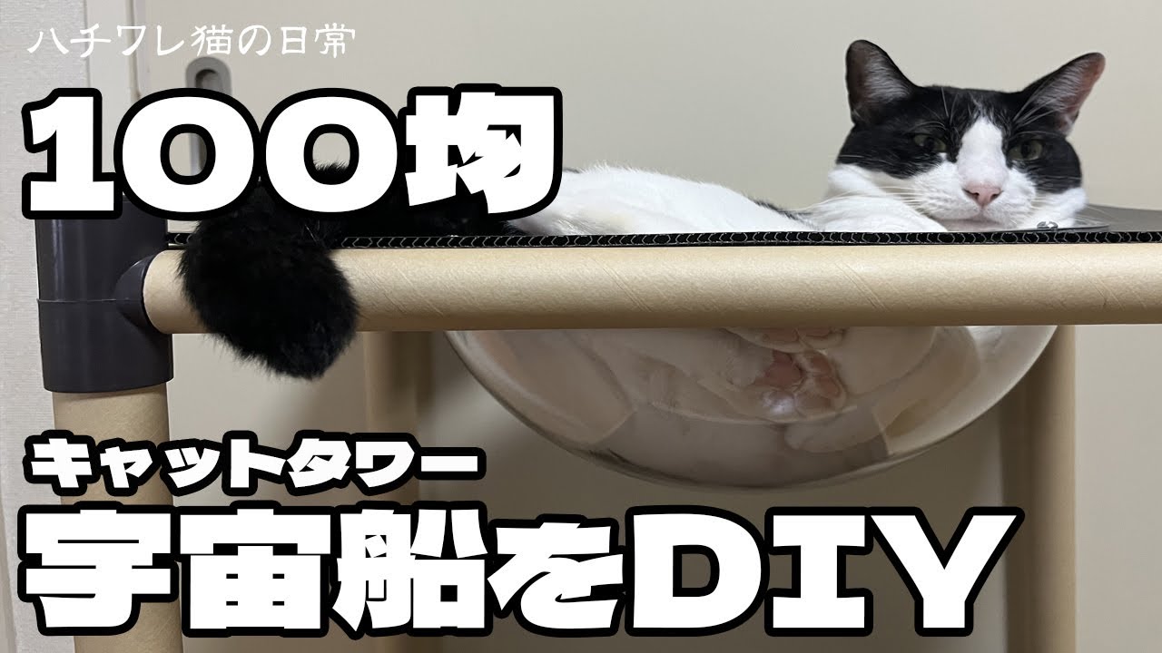 ［DIY］キャットタワー宇宙船を100均グッズとクリアボウルで作ったら猫が液体になります