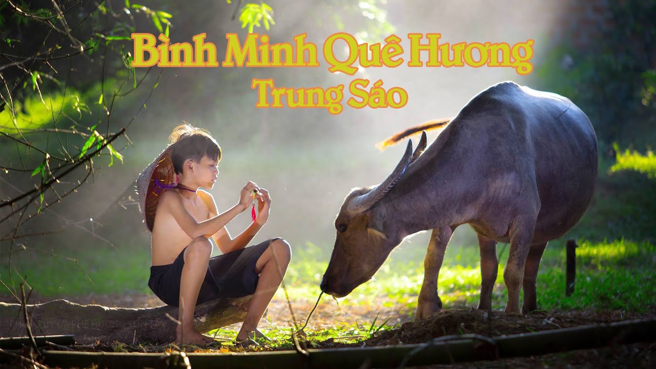 BÌNH MINH QUÊ HƯƠNG - SÁNG TÁC NSUT ĐỨC LIÊN - SÁO TRÚC TRUNG SÁO