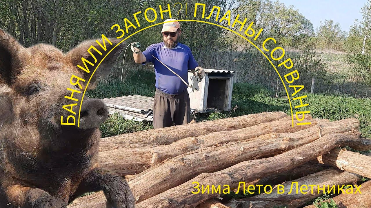 НАЧАЛО ЗАГОНА ПОЛОЖЕНО.🙂НАШЕСТВИЕ НАСЕДОК. СТРОИТЕЛЬСТВО БАНИ ОТКЛАДЫВАЕТСЯ.🐔🐣венгерская мангалица