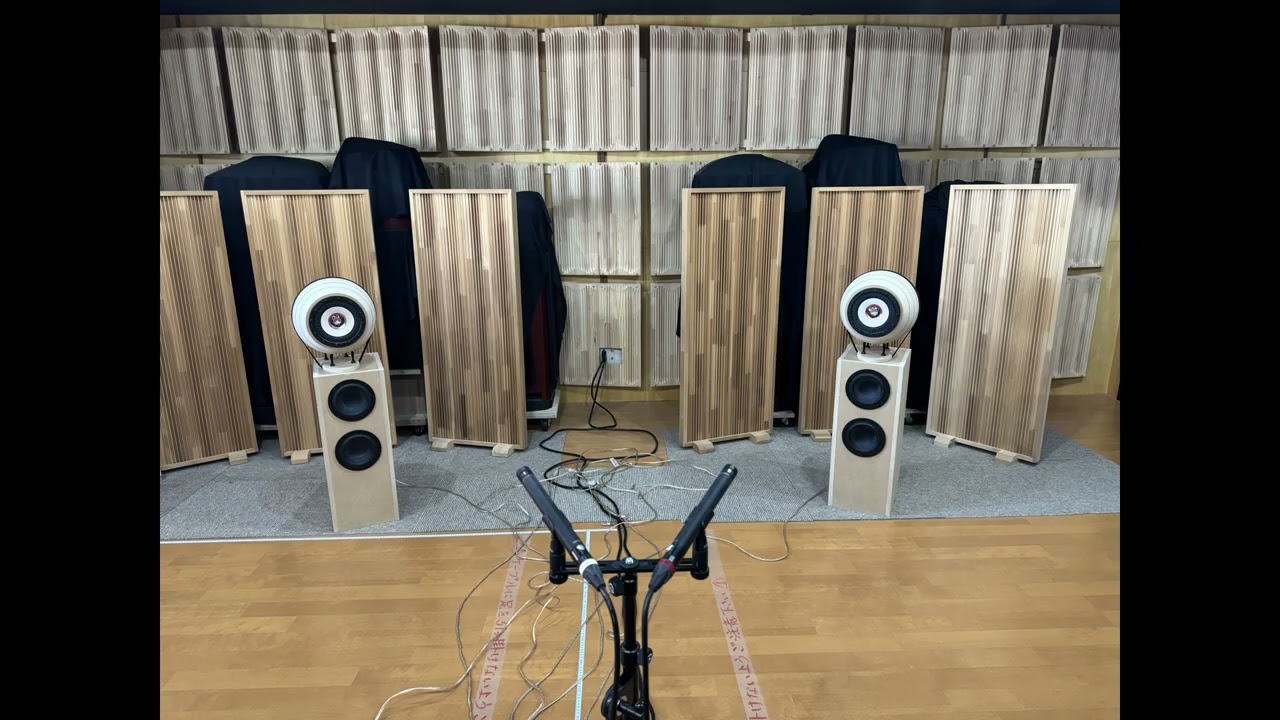 Z600-Cannonball160 + Z-Potenza +Z506-Livornosub2  (10曲)