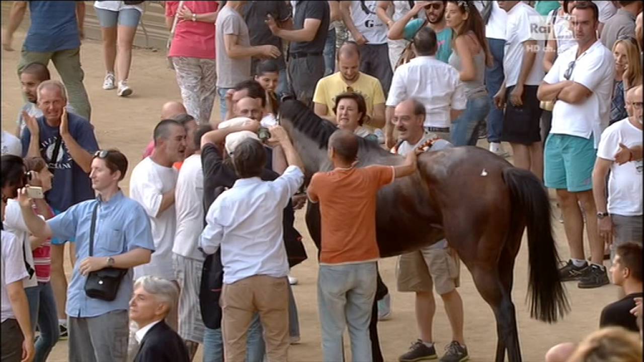 PALIO DI SIENA VINCE LA LUPA DEL 2 LUGLIO 2016