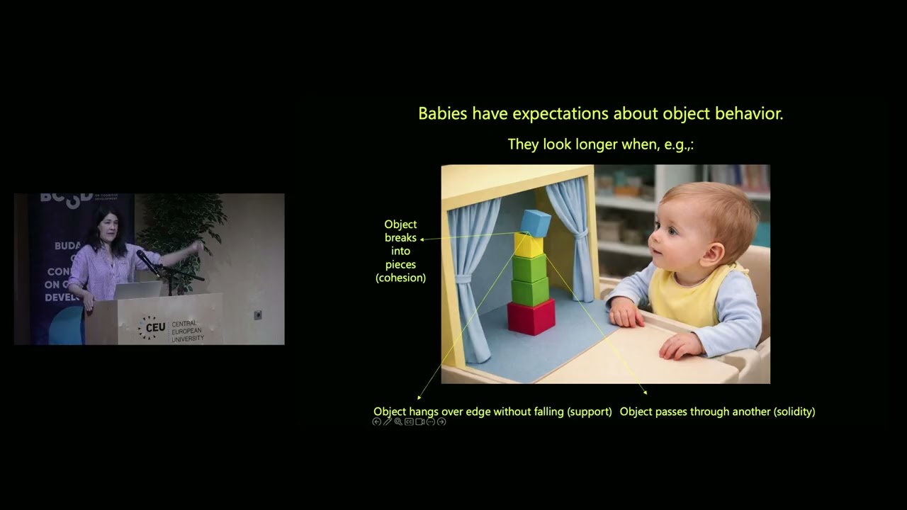 BCCCD26 - Lisa Feigenson: The Cradle of Curiosity