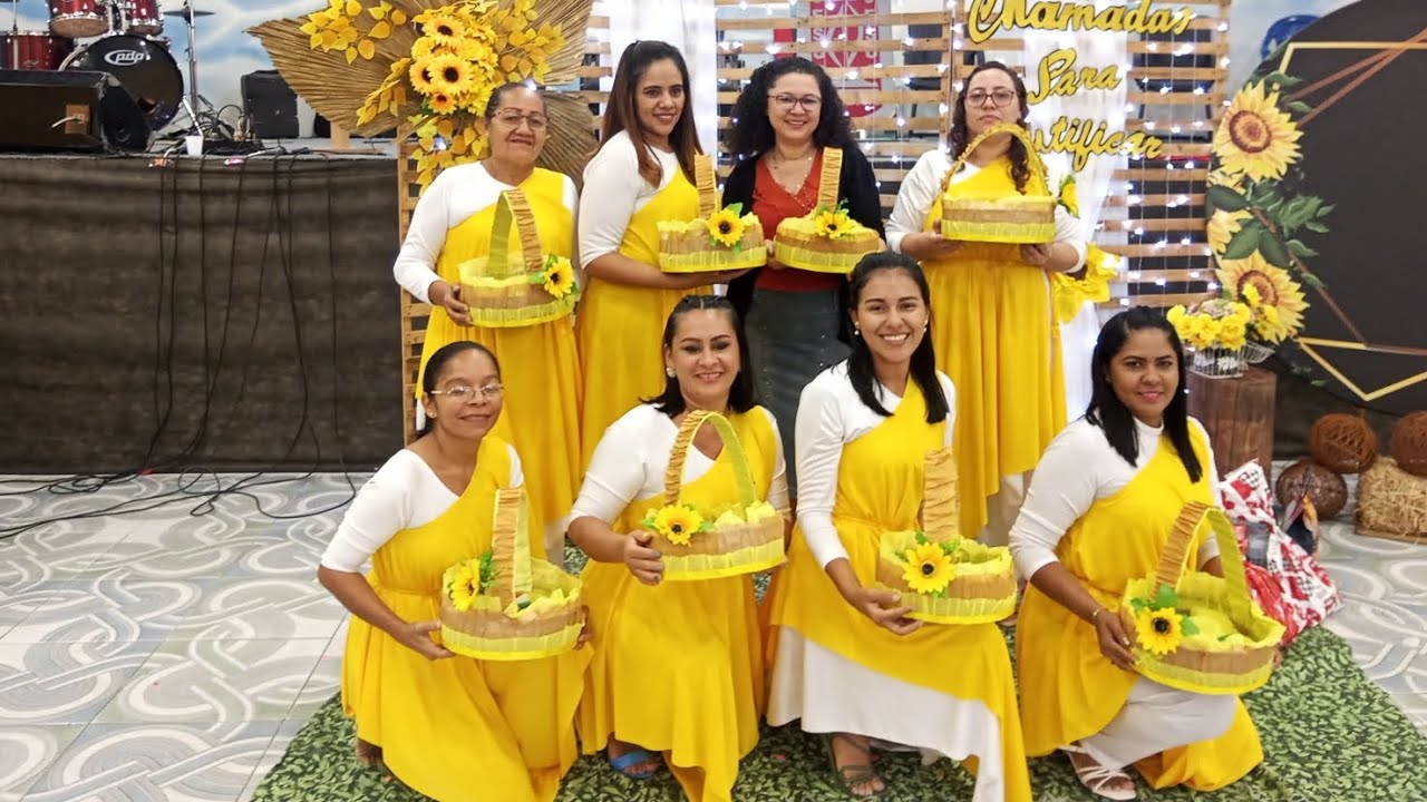 TEMPO DE COLHEITA  🌻