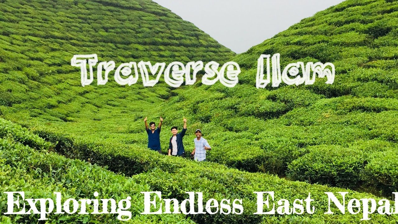 Ilam chiya bari.Travelling East Nepal. Kanyam.