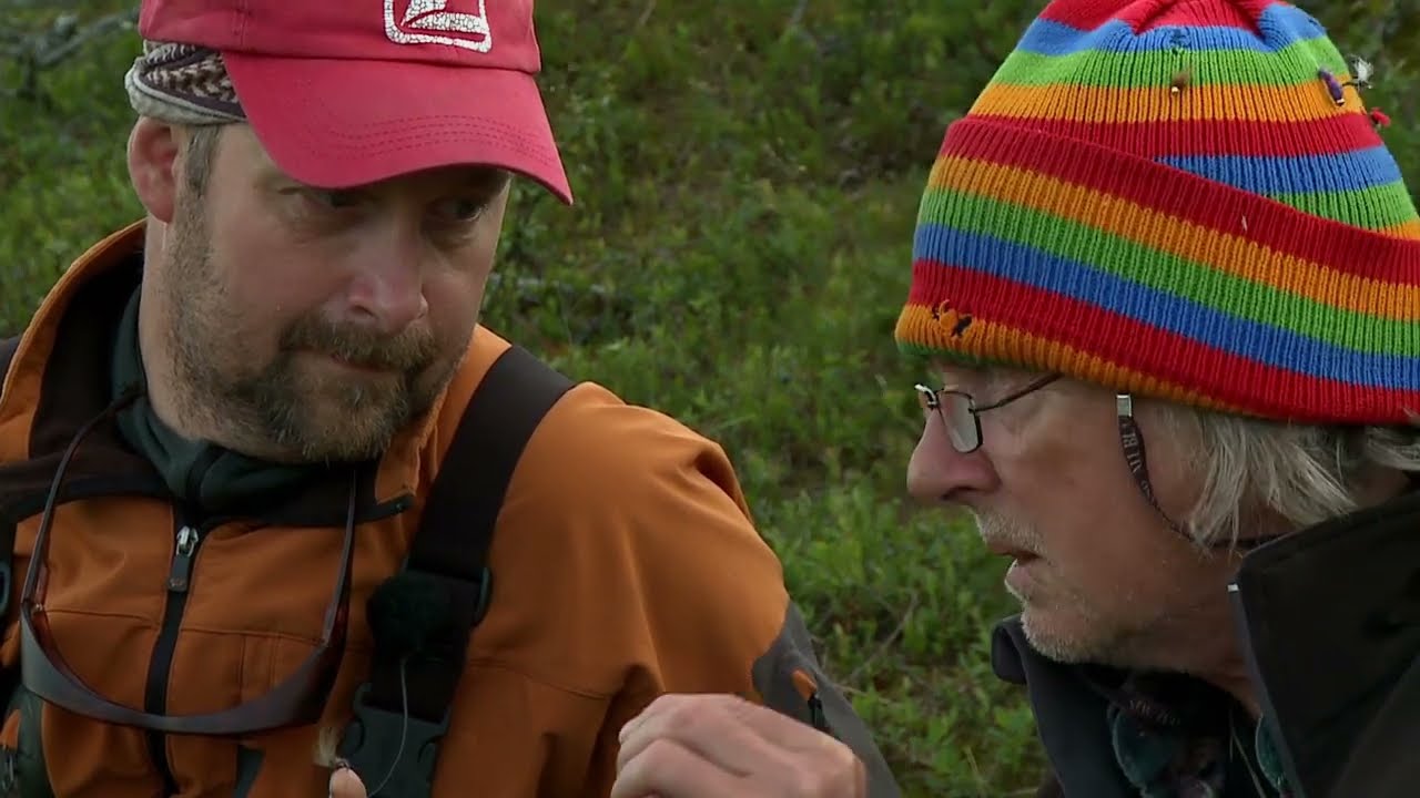 Fjällfiske, Rostu - Bonus flugor